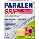 Paralen Grip horúci nápoj echinacea a šípky plo.por.500 mg/10 mg 12 x 500 mg/10 mg