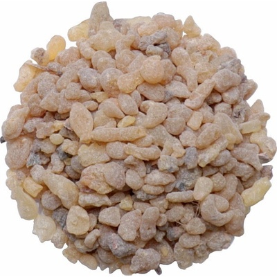 Nefertitis Kadidlo pryskyřice v plechovce NF23644 60 g – Zbozi.Blesk.cz