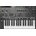 Roland SH-101 Key