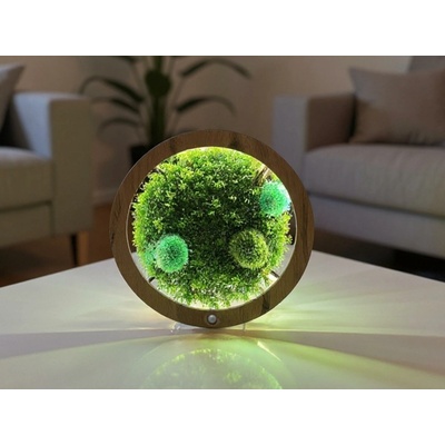 Li-Go "Mechové kopečky" dřevěná lampa/obraz 31 cm/s baterií a pohybovým čidlem provedení povrchu: dub