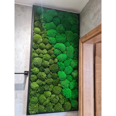 Machový obraz- kopčekový mach 90cm x 45cm