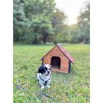  Къщичка за кучета Woof! House