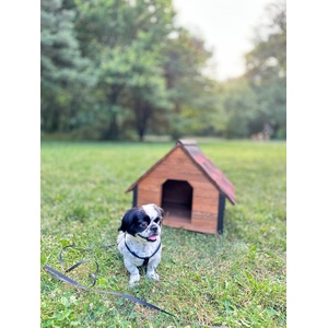  Къщичка за кучета Woof! House