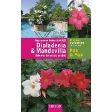 Dipladenia & Mandevilla