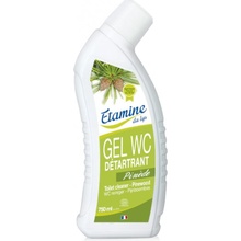 ETAMINE DU LYS ETAMINE DU LYS WC čistič borovice 750 ml