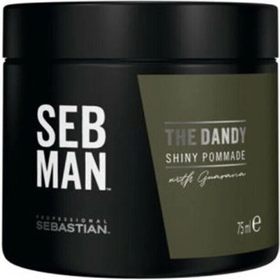 Sebastian Professional The Dandy Pomade pomáda na vlasy 75ml