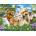 SunsOut - Puzzle Pups n Kittens - 300 piese