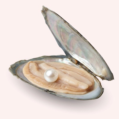 Pan Perla Mušle s pravou perlou 44 – Hledejceny.cz