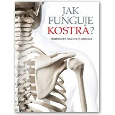Jak funguje kostra?