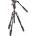 Manfrotto Befree live twist