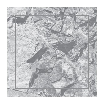 DONOSO RICARDO: DETERRENCE LP