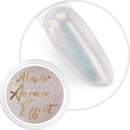 Allepaznokcie Aurora pigment 04