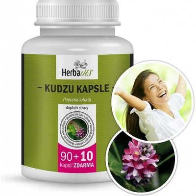 Herbavis KUDZU KAPSLE 100 kapslí