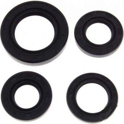 Set gufer motoru GY6 4t 50cc (skútr)