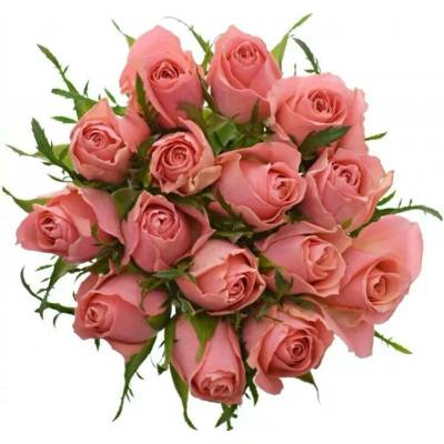 Kytice 15 růžových růží ACE PINK 50 cm