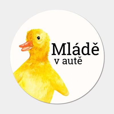 ePiPí Samolepka na auto - Mládě v autě