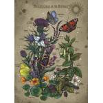 Ravensburger - Puzzle Butterfly life cycle - 1 000 piese