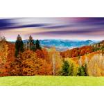 DIMEX ART Флизелинов фототапет величествен залез 375 x 250 см