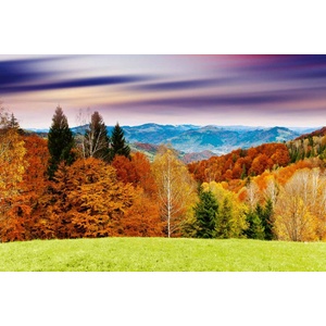 DIMEX ART Флизелинов фототапет величествен залез 375 x 250 см