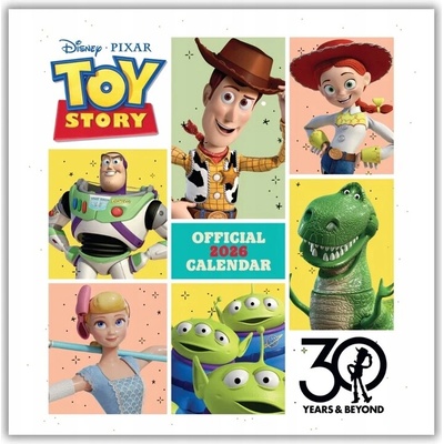 Toy Story, 30 x 30 cm 2026
