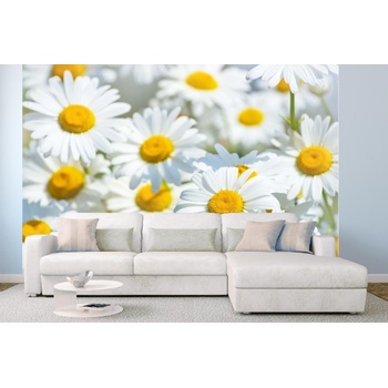 DIMEX ART s. r. o Самозалепваща се флизелинова фототапета поле с маргаритки 375 x 250 см