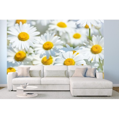 DIMEX ART Самозалепваща се флизелинова фототапета поле с маргаритки 375 x 250 см