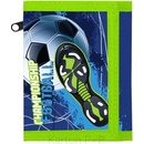 Karton P+P Futbal