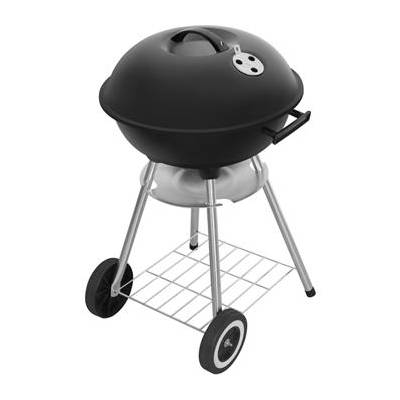FIELDMANN FZG 1009 Gril na drevené uhlie