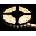 SOH LED046