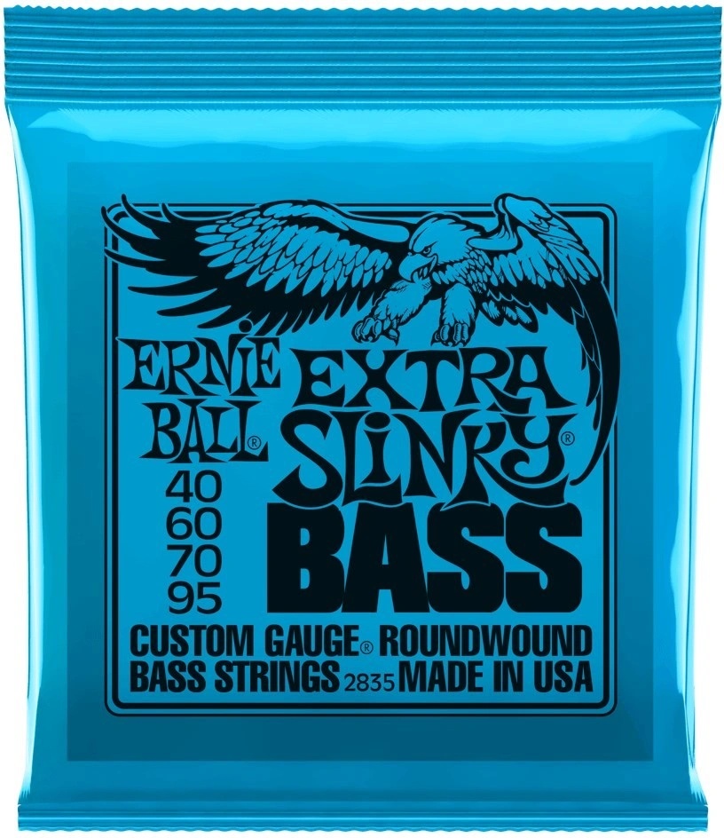 Ernie Ball P02835