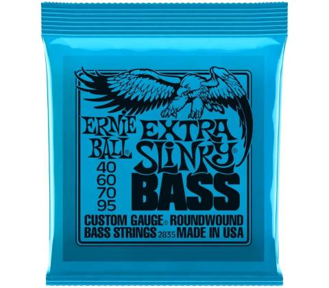 Ernie Ball P02835