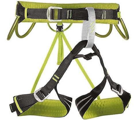 Camp Alpine Flash