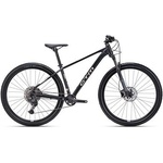 CTM Rambler 4.0 2025