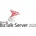Microsoft BizTalk Server 2020 (DG7GMGF0G49Z:0002)