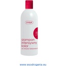 Ziaja šampón pre intenzívnu farbu vlasov Ricinový olej 400 ml