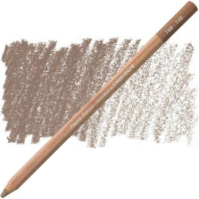 Caran d´Ache suchý pastel v tužce 746 dark flesh