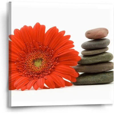 Sablio Obraz Gerbera s kameny - 50x50 cm