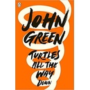 Turtles All the Way Down