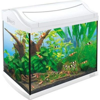 Tetra Disc LED Cray white 30 l