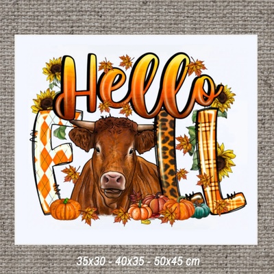 Obraz HELLO 35x30 cm