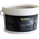 Mamut Recovery Drink 800 g