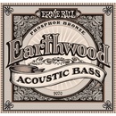 Ernie Ball 2070