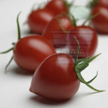 Image 1 of Семена от чери домати сорт "Градинска боровинка" (Gardenberry F1) 15 бр (291160)
