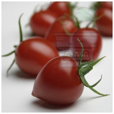 Семена от чери домати сорт "Градинска боровинка" (Gardenberry F1) 10 бр (291160)