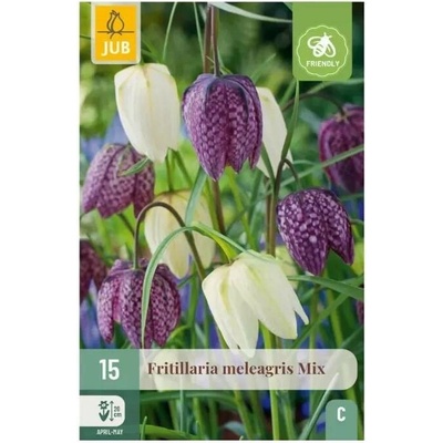 Karta Řepčík Fritillaria Meleagris 15 cibulí "C"