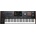 Korg Pa5X 61