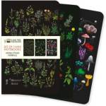 Flame Tree Publishing Anna Stead: Herbals Set of 3 Mini Notebooks | FLAME TREE