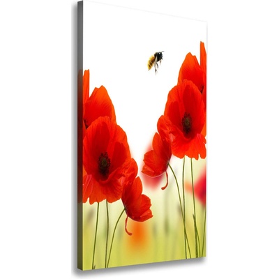 Vertikálny foto obraz na plátne do obývačky Polné maky 50x100 cm