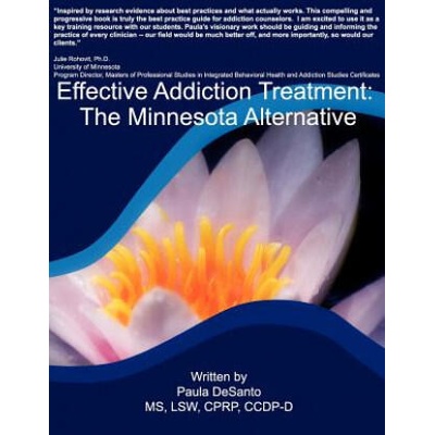Effective Addiction Treatment: The Minnesota Alternative | MS Paula L Desanto