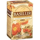 Basilur Magic Raspberry & Rosehip 20 x 2 g